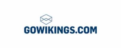 gowikings-logo-1-390x156